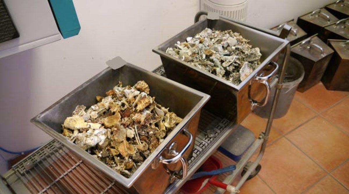 Ölü Bedenlerin Yakılma İşlemi Olan Kremasyon Sırasında Neler Oluyor?