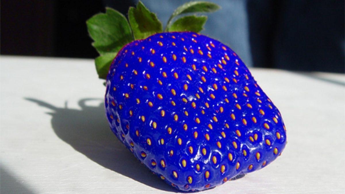 Neden Hiç Mavi Renkte Sebze ya da Meyve Yok?