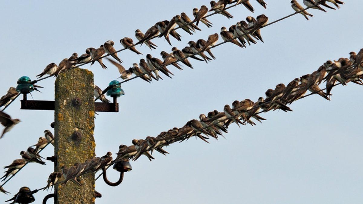 Gerçek Yanıtını Çok Az İnsanın Bildiği 10 Bilimsel Soru!