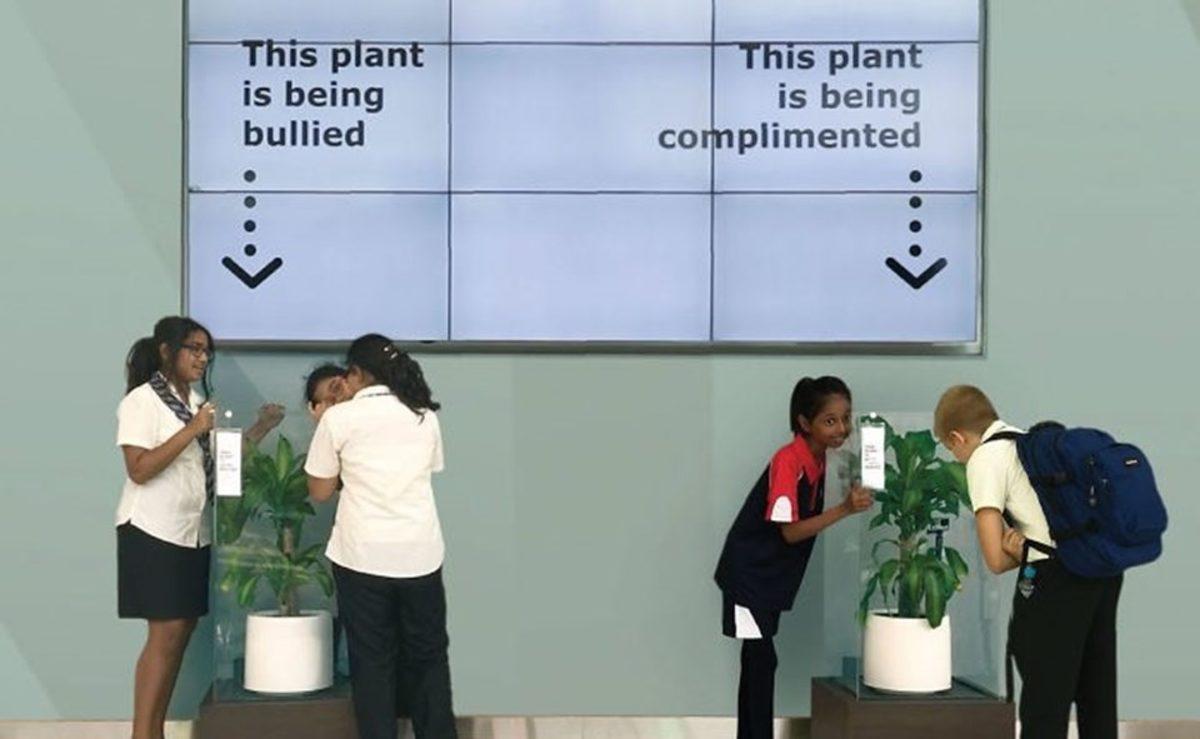 Yapılan Bir Deneyde Sürekli Küfüre Maruz Kalan Çiçek Sararıp Soldu