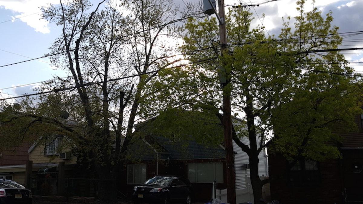 Kamera Testi: LG G4, iPhone 6, Galaxy S6 ve Daha Fazlası