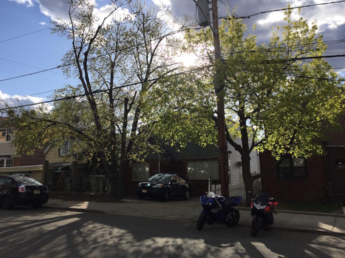 Kamera Testi: LG G4, iPhone 6, Galaxy S6 ve Daha Fazlası