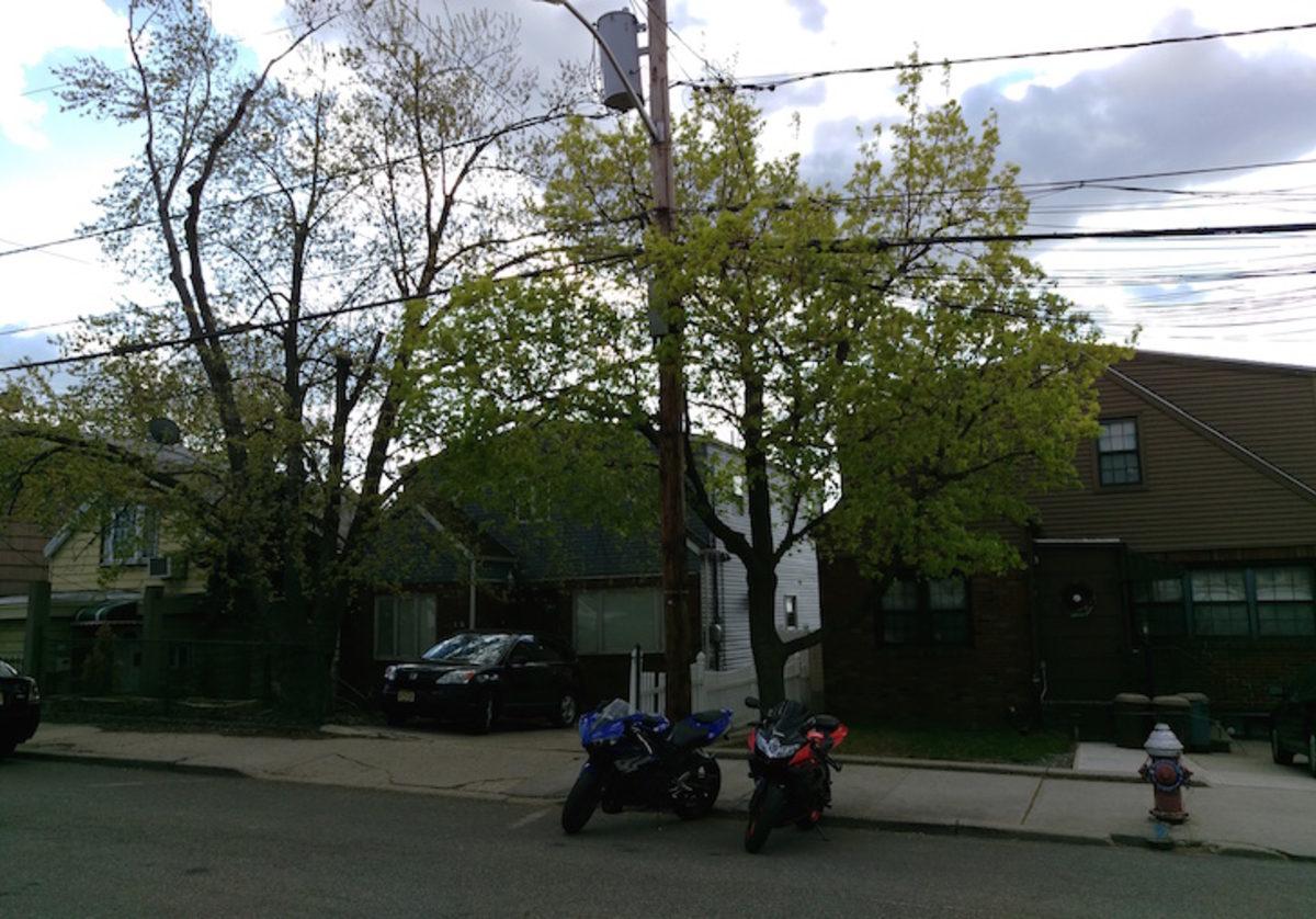 Kamera Testi: LG G4, iPhone 6, Galaxy S6 ve Daha Fazlası