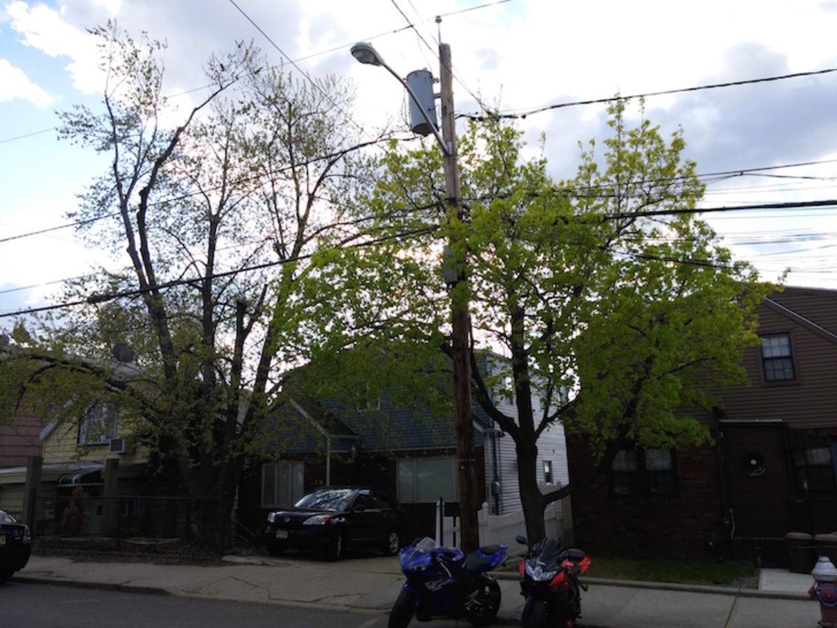 Kamera Testi: LG G4, iPhone 6, Galaxy S6 ve Daha Fazlası