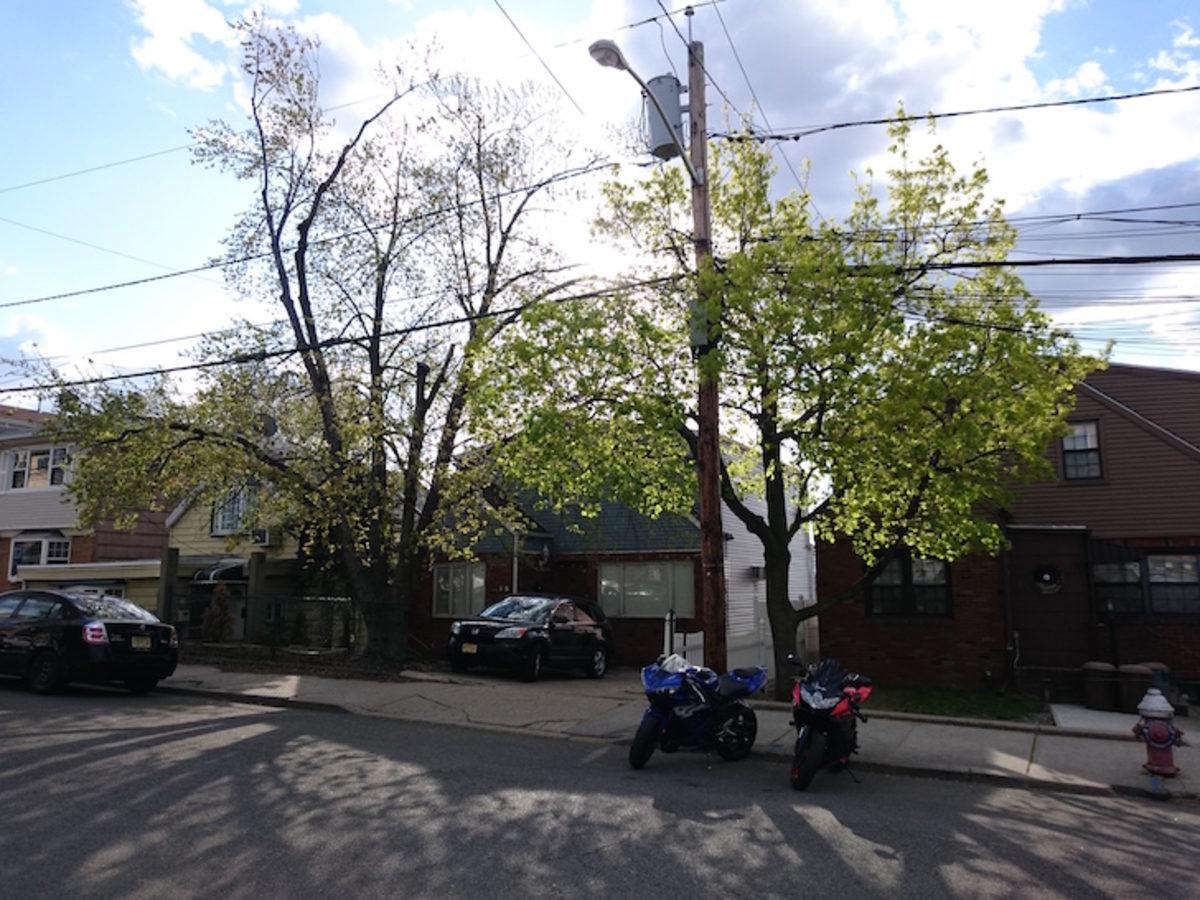 Kamera Testi: LG G4, iPhone 6, Galaxy S6 ve Daha Fazlası