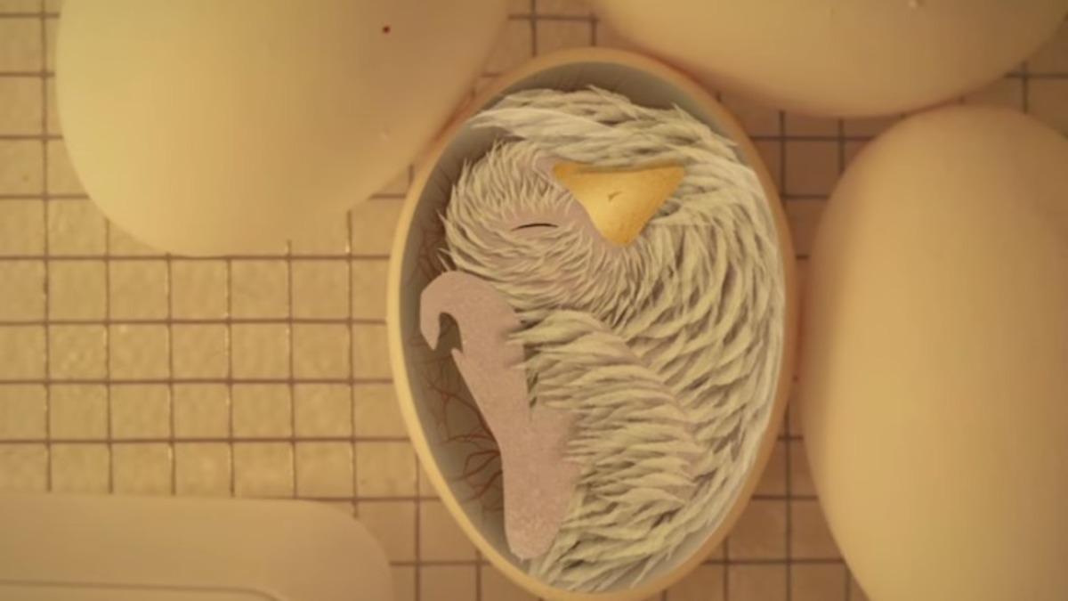 Yumurta İçindeki Civcivlerin Nasıl Nefes Aldığını Biliyor muydunuz?