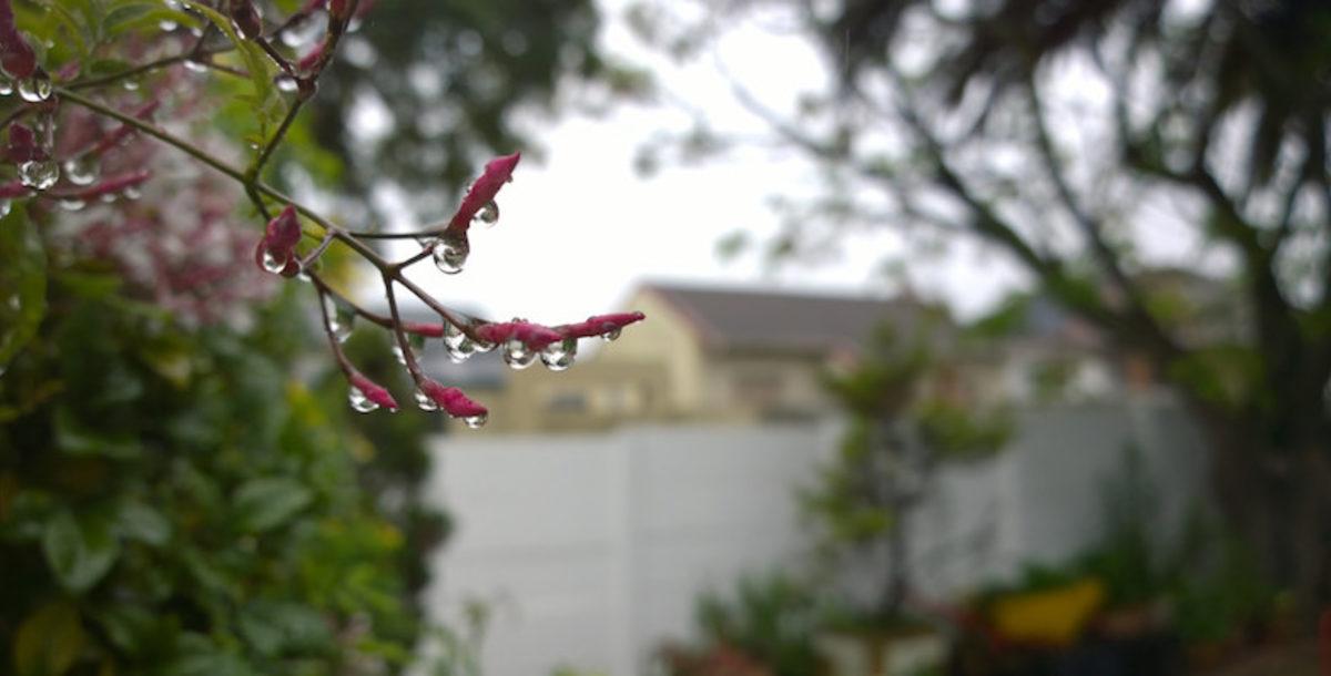 Huawei P20 Pro, Kamera Konusunda Lumia 1020’nin Gelişmiş Modeli mi?