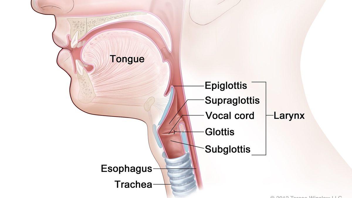 Ağladığımızda Boğazımızda Oluşan Yumru Hissinin Nedeni Nedir?
