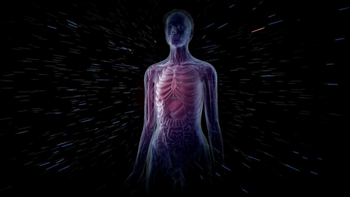 1 Ay Boyunca Oruç Tutulduğunda Vücutta Neler Olur?