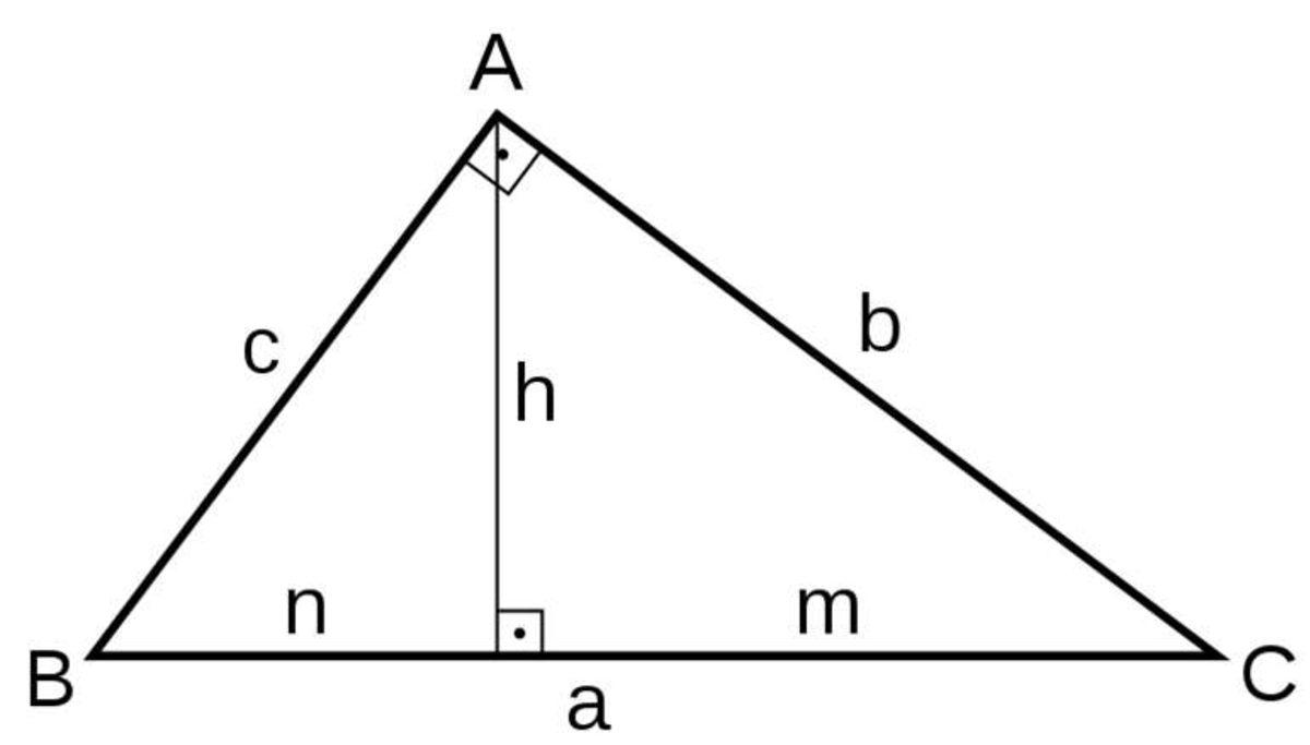 Microsoft’un Son Yıllardaki İş Görüşmelerinde Sorduğu Acımasız Soru ve Cevabı!