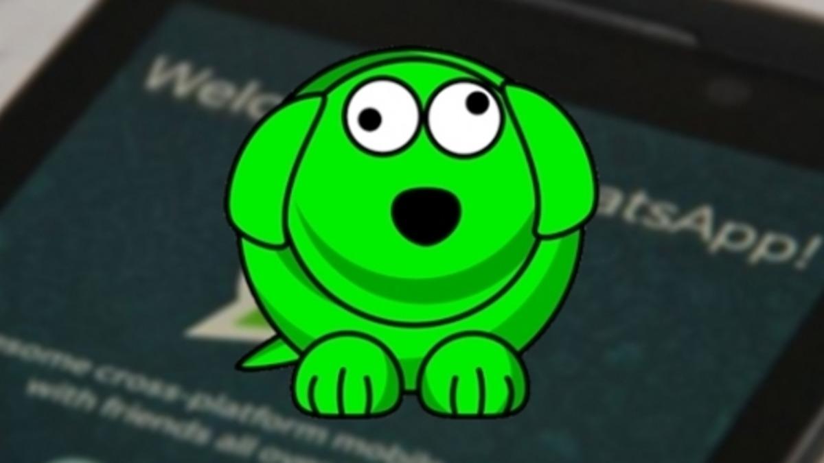 WhatsApp’ta Online Durumunu Takip Eden Uygulama: WhatsDog