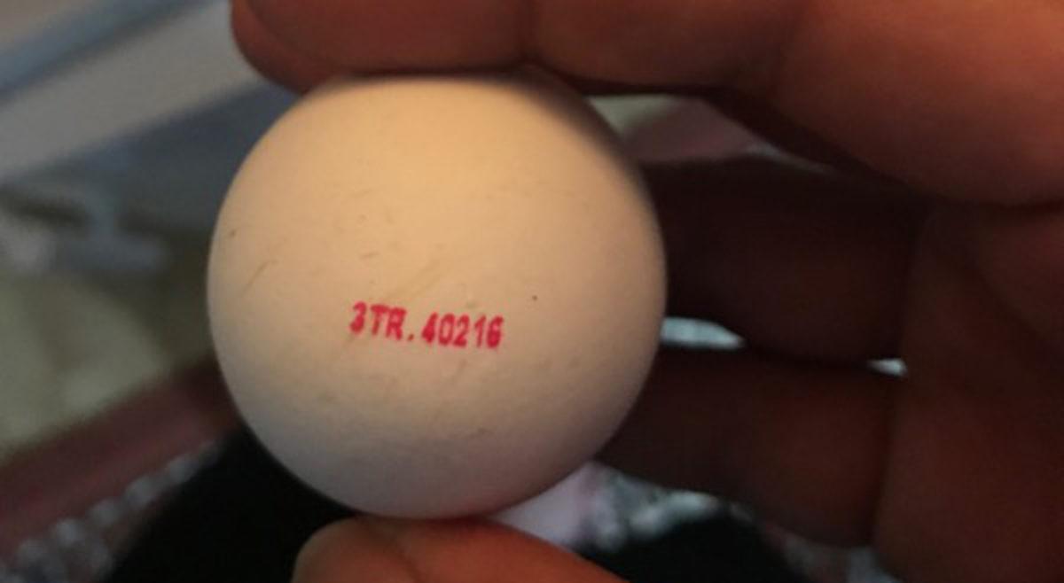 Yumurtaların Üzerindeki Kodların Ne Anlama Geldiğini Biliyor musunuz?