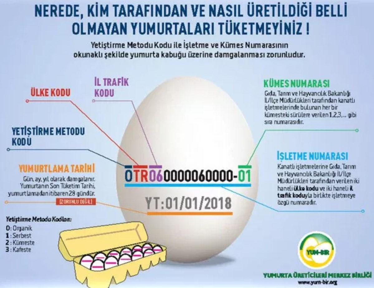 Yumurtaların Üzerindeki Kodların Ne Anlama Geldiğini Biliyor musunuz?