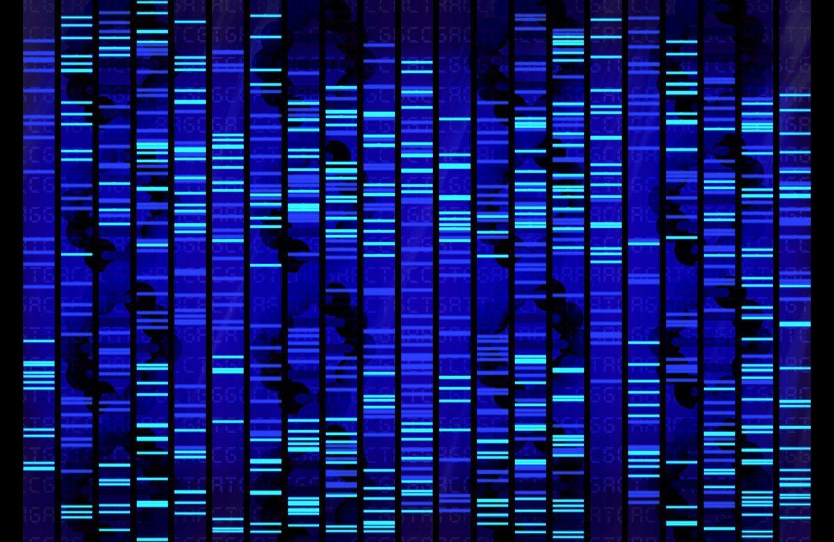 Madem Hücrelerimiz Sürekli Yenileniyor O Zaman Neden Yaşlanıyoruz?