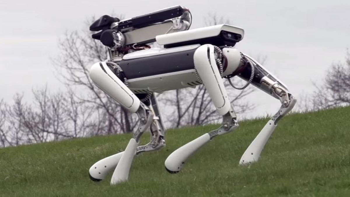 Robot Teknolojisinin En Çok Umut Vadeden 5 Şirketi