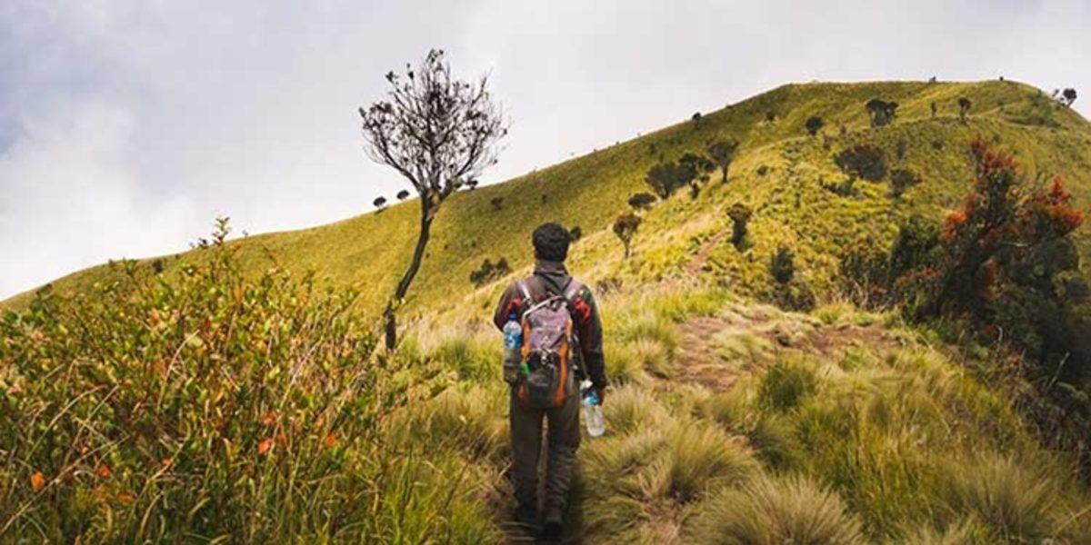 Hissedilen Sıcaklık ile Normal Sıcaklık Arasındaki Fark Nedir?