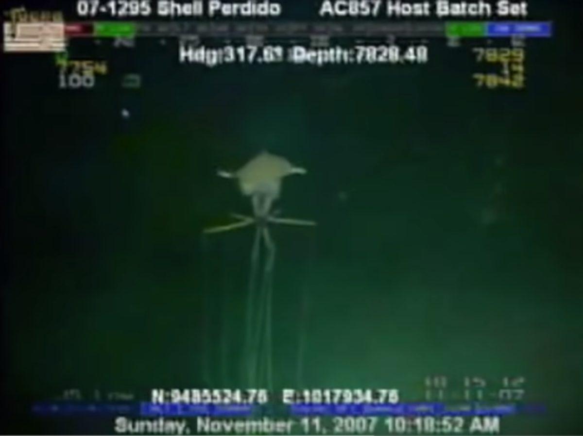 Su Altında Gözlemlenmiş Birbirinden Ürkütücü 5 Esrarengiz Canlı