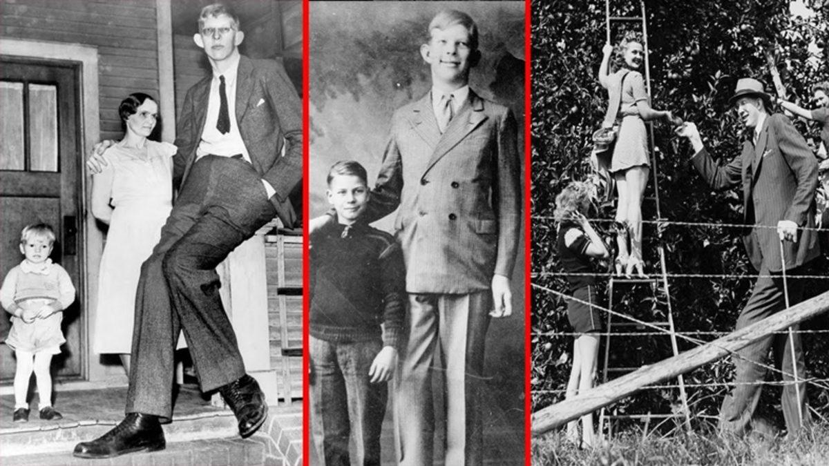 1 Yaşındayken Boyu 1 Metre Olan Dünyanın En Uzun Boylu İnsanı Robert Wadlow’un İlginç Yaşam Öyküsü