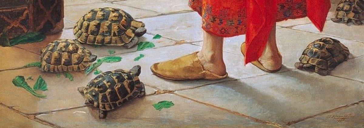 Türk Sanatı Klasiklerinden ’Kaplumbağa Terbiyecisi’ Tablosu, Aslında Ne Anlatmak İstiyor?