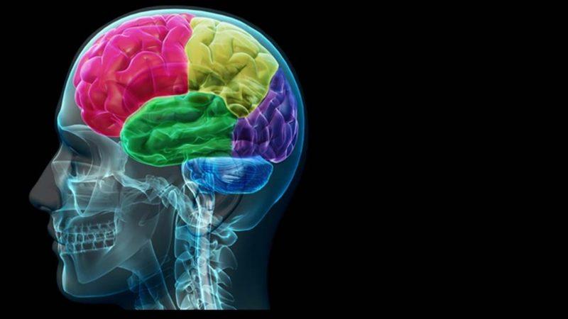 Matematik Problemi Çözdüğümüz Esnada Beynimiz Nasıl Görünüyor?