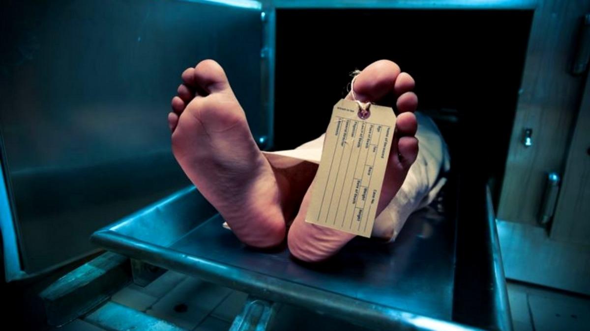 Öldürdüğü Kurbanı Geri Döndürebilen Kimyasal: Tetrodotoksin