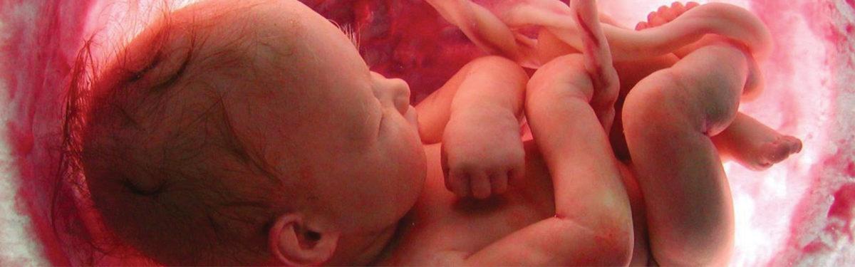 Bir Araştırma, Anne Karnındaki Bebeklerin En Çok Hangi Sesleri Duymaktan Hoşlandığını Ortaya Çıkardı