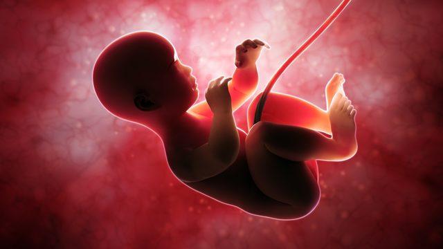 Bir Araştırma, Anne Karnındaki Bebeklerin En Çok Hangi Sesleri Duymaktan Hoşlandığını Ortaya Çıkardı