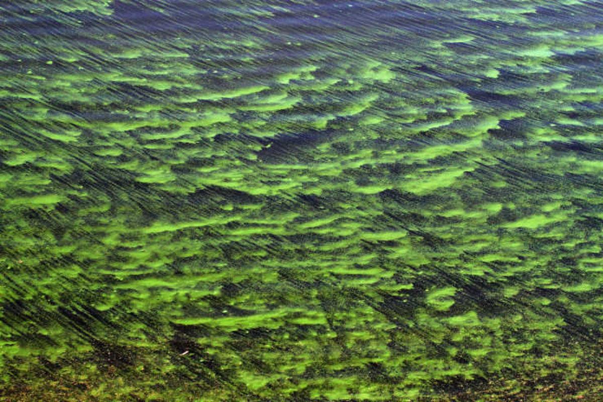 Dünya’nın Oluşumundan Günümüze Dek Gezegenimizin Kaderini Değiştirmiş 25 Büyük Olay