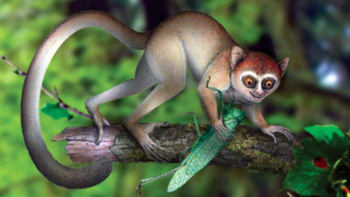 Dünya’nın Oluşumundan Günümüze Dek Gezegenimizin Kaderini Değiştirmiş 25 Büyük Olay