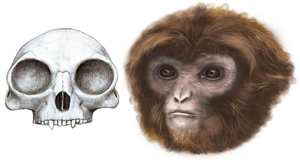 Dünya’nın Oluşumundan Günümüze Dek Gezegenimizin Kaderini Değiştirmiş 25 Büyük Olay