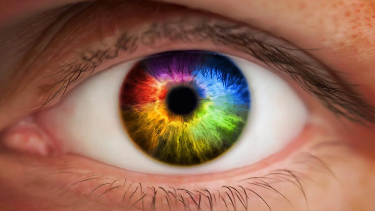Gözünüzün Renkleri Ne Kadar Kaliteli Gördüğünü Söyleyen ‘Renk Zekası’ Testi