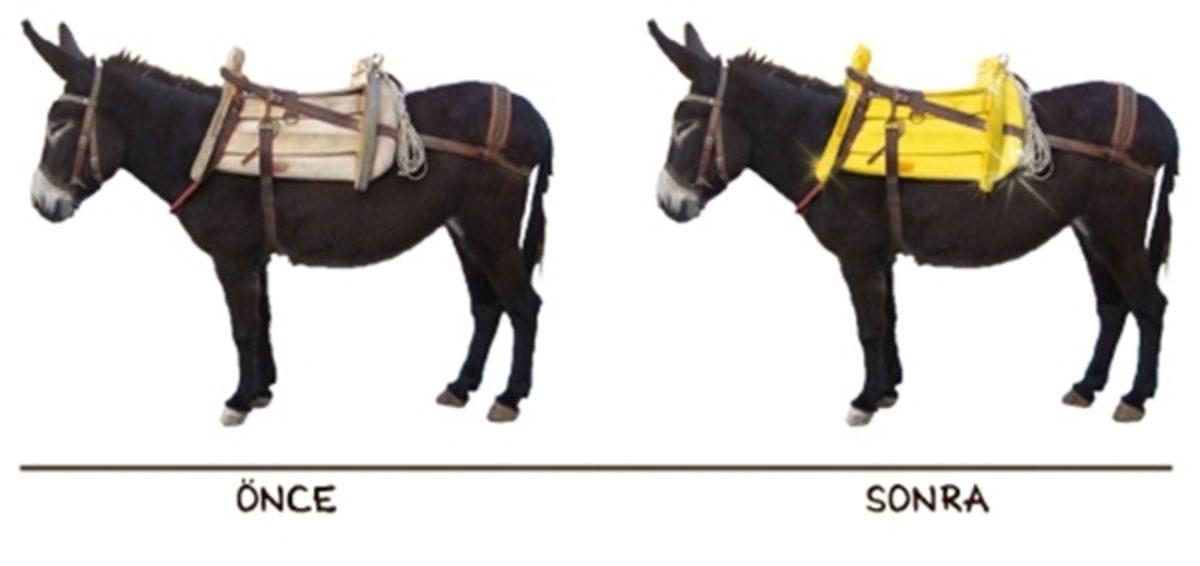 Bazı Latince Deyişlerin, Türkçe’de de Karşılığı Olduğunu Biliyor muydunuz?