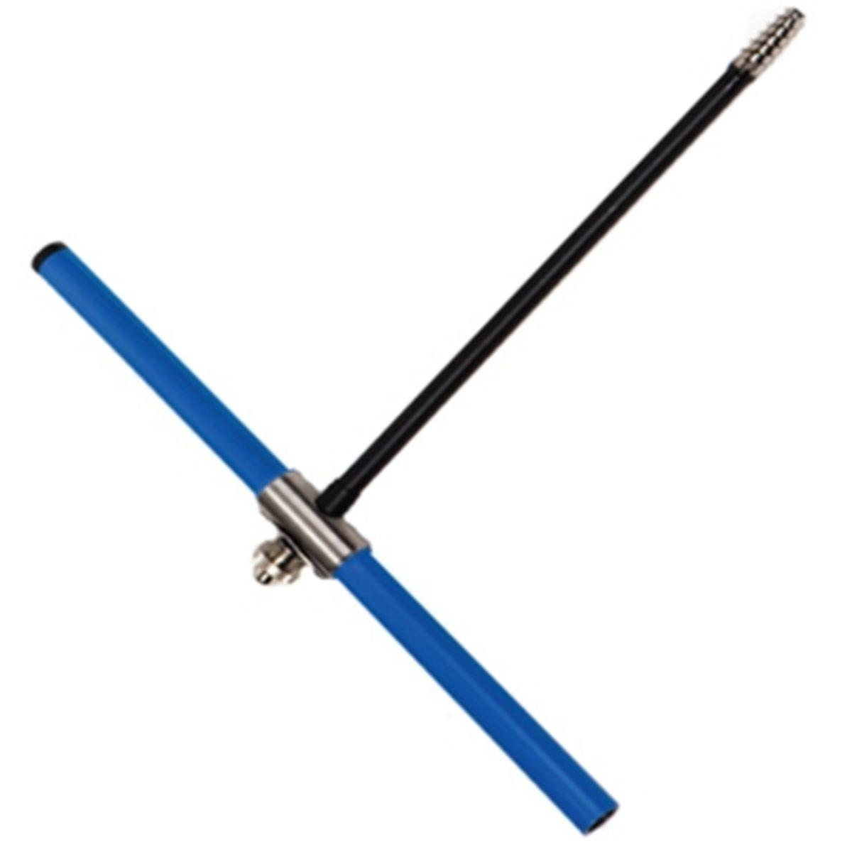 Bir Ağacın Kaç Yaşında Olduğu Nasıl Hesaplanır?