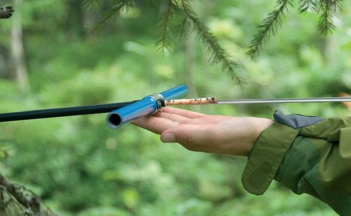 Bir Ağacın Kaç Yaşında Olduğu Nasıl Hesaplanır?