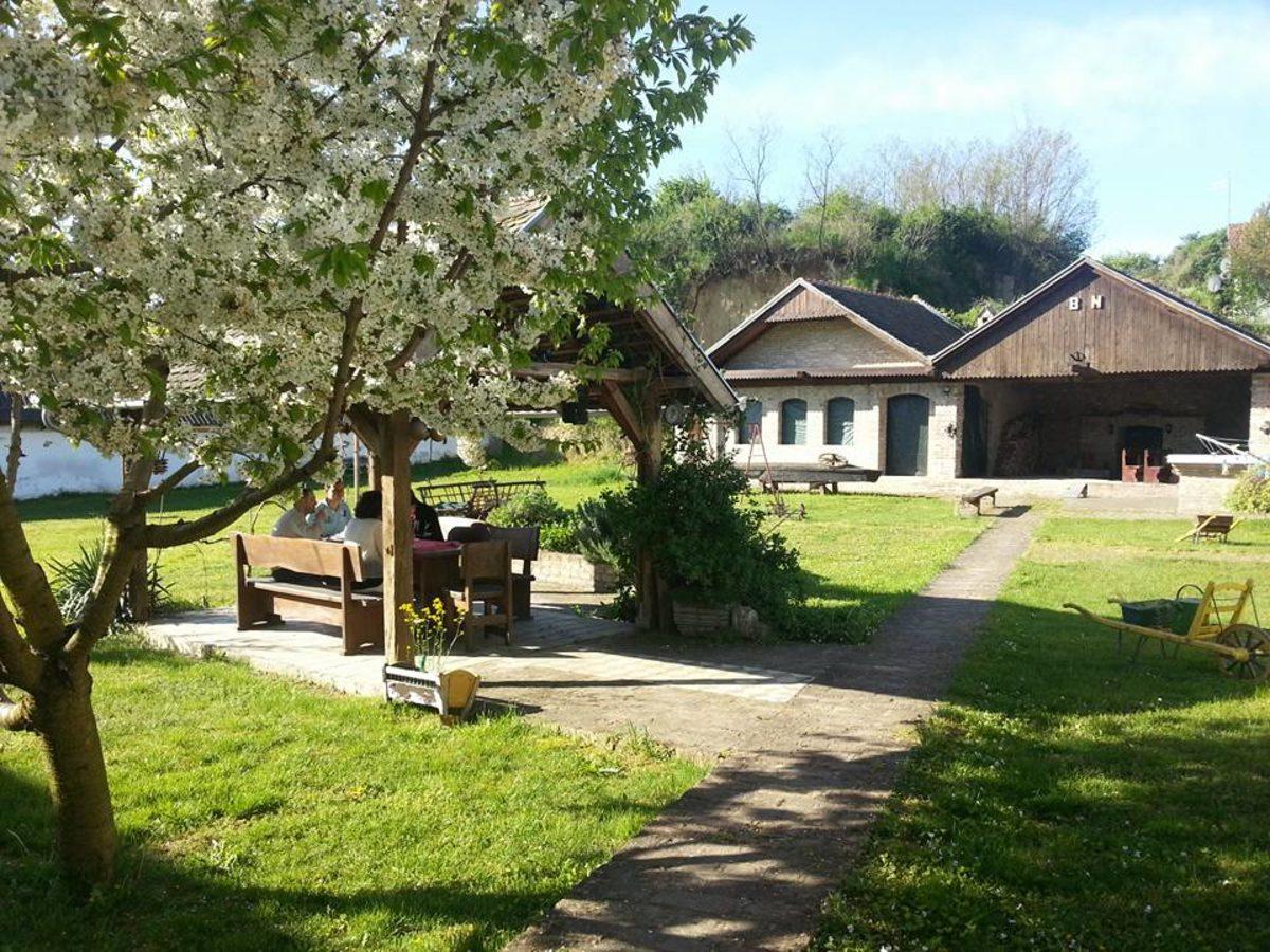 Kripto Para Sayesinde Tarihin En Hızlı Değerlenen Ülkesi ’Liberland’ ile Tanışın