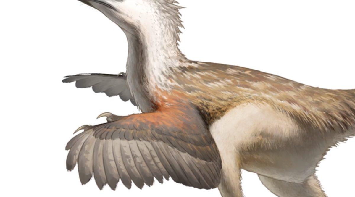 Jurassic World: Yıkılmış Krallık Filminde, Dinozorlarla İlgi Gerçekleri Yansıtmayan 5 Hata