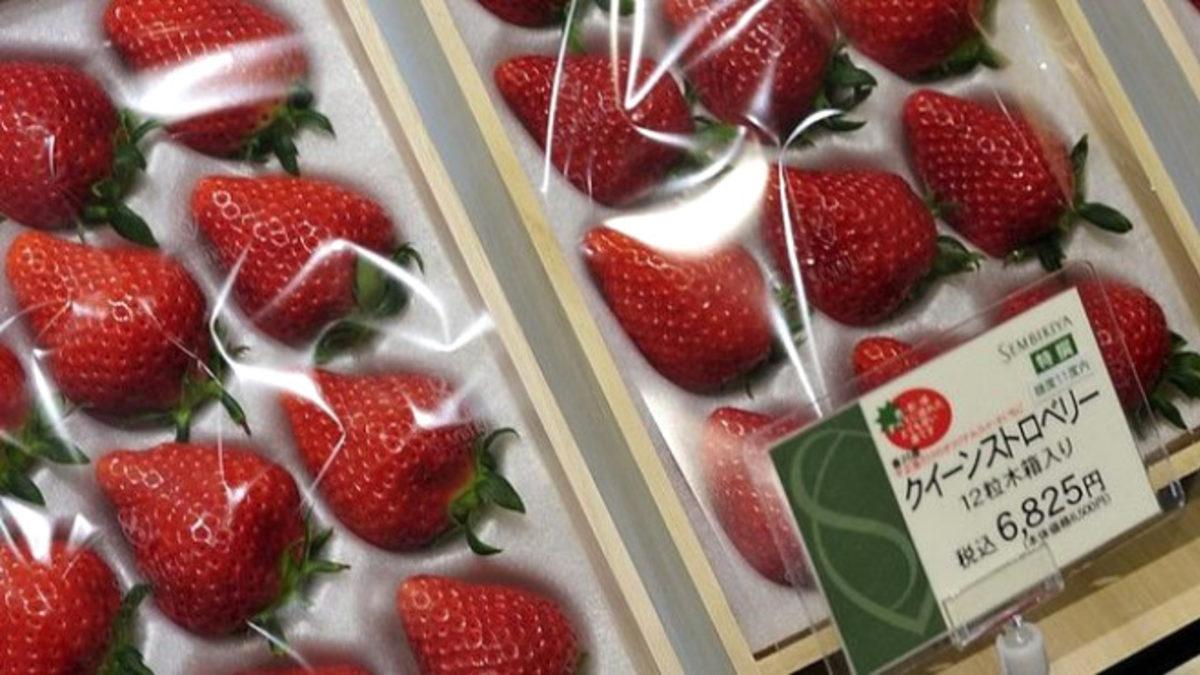 Cep Yakan, Dünyanın En Pahalı 10 Meyvesi