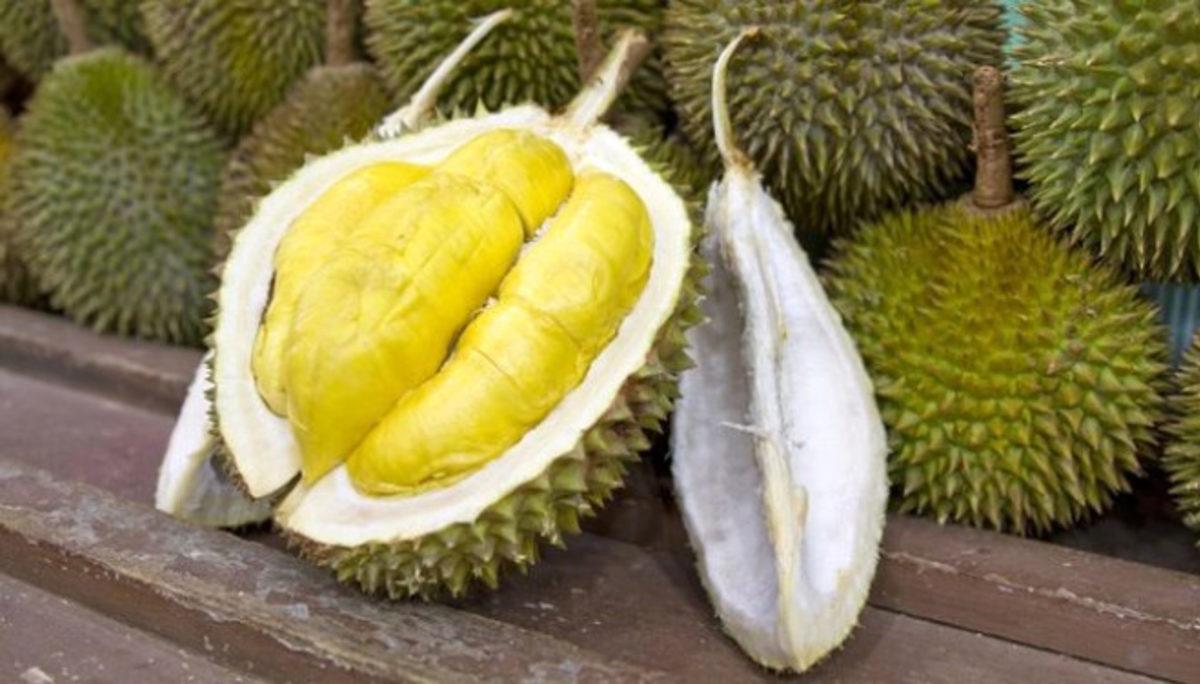 Cep Yakan, Dünyanın En Pahalı 10 Meyvesi