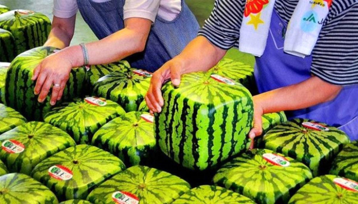 Cep Yakan, Dünyanın En Pahalı 10 Meyvesi