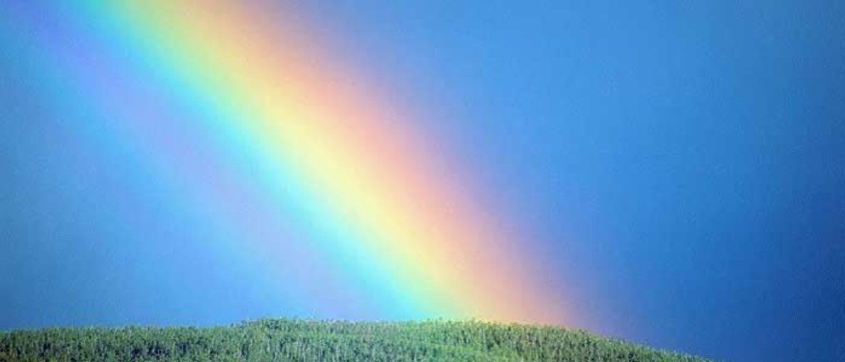 Beyaz Gökkuşağı Nedir ve Nasıl Oluşur?