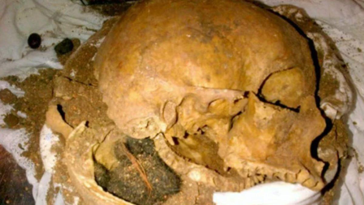 Havalimanlarında Yolcuların Bagajlarından Çıkmış 12 Garip Şey