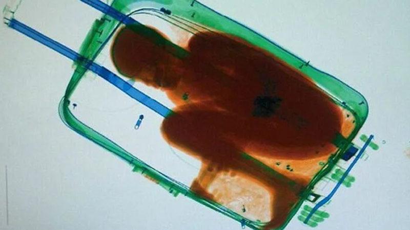 Havalimanlarında Yolcuların Bagajlarından Çıkmış 12 Garip Şey