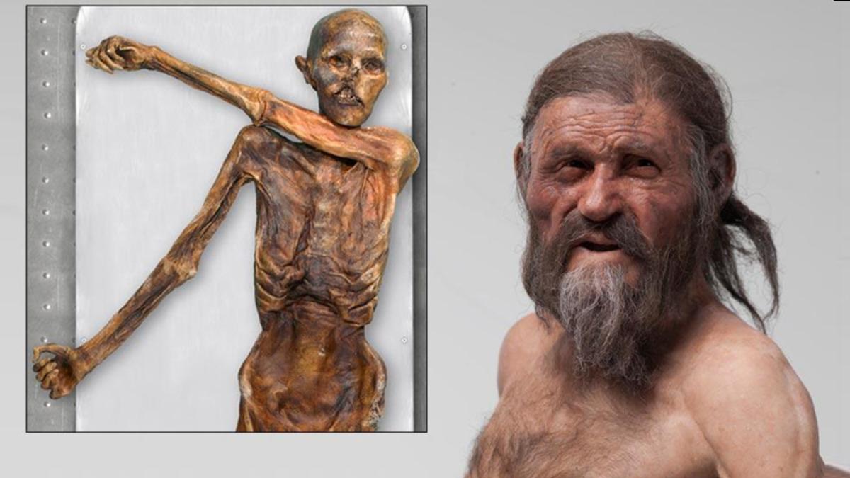 Buz İçinde Korunarak Günümüze Kadar Ulaşmış 5 Garip Kalıntı