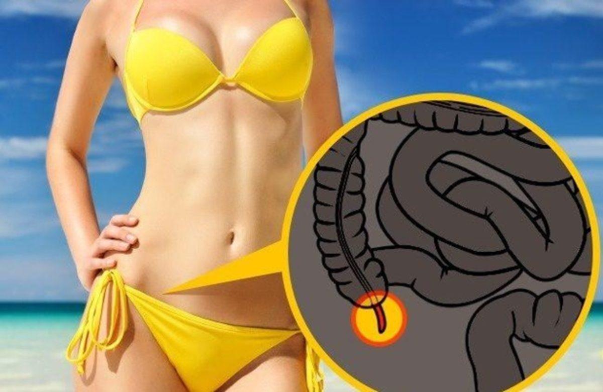 İnsan Bedeninde Bulunan Ama Ne İşe Yaradığı Tam Olarak Bilinmeyen 9 Organ