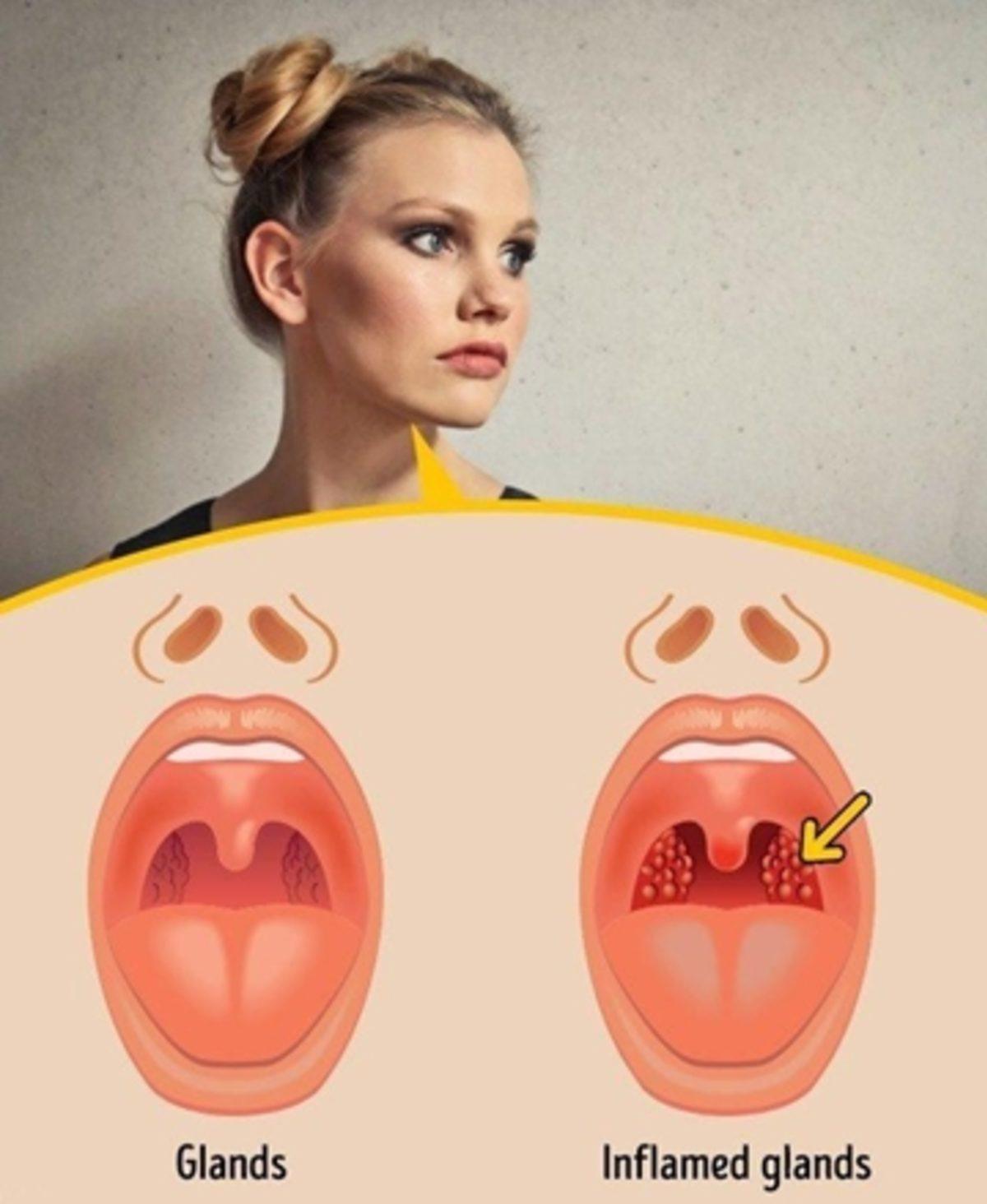 İnsan Bedeninde Bulunan Ama Ne İşe Yaradığı Tam Olarak Bilinmeyen 9 Organ