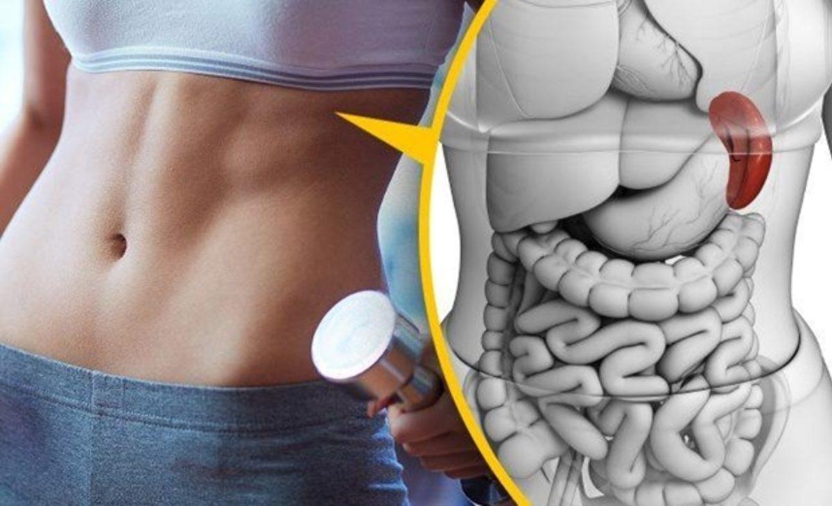 İnsan Bedeninde Bulunan Ama Ne İşe Yaradığı Tam Olarak Bilinmeyen 9 Organ