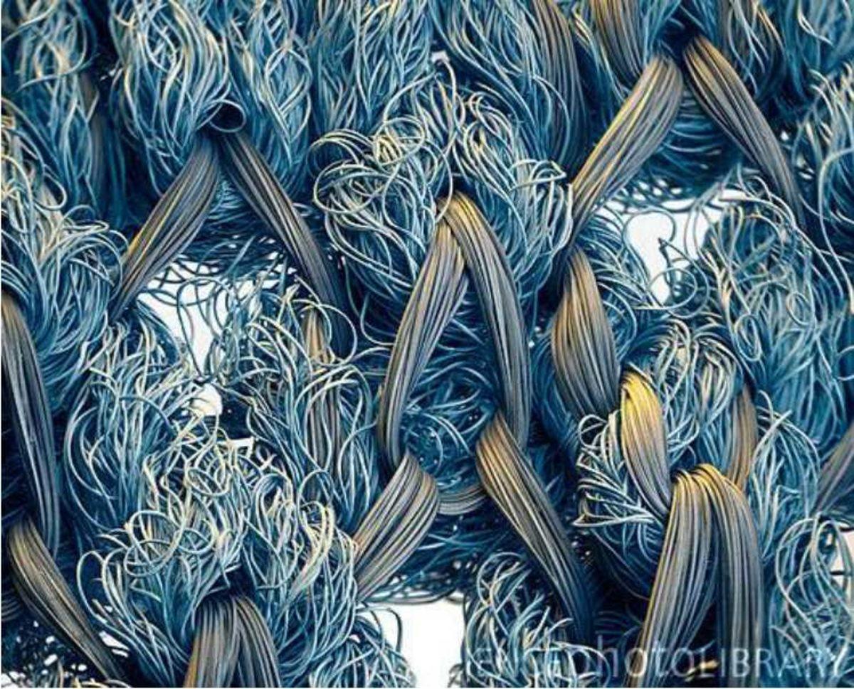 Elektron Mikroskobu ile Çekilmiş Birbirinden İlginç 27 Fotoğraf