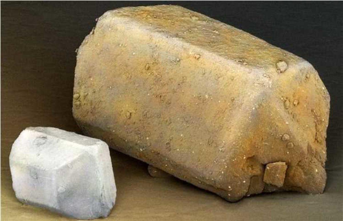 Elektron Mikroskobu ile Çekilmiş Birbirinden İlginç 27 Fotoğraf