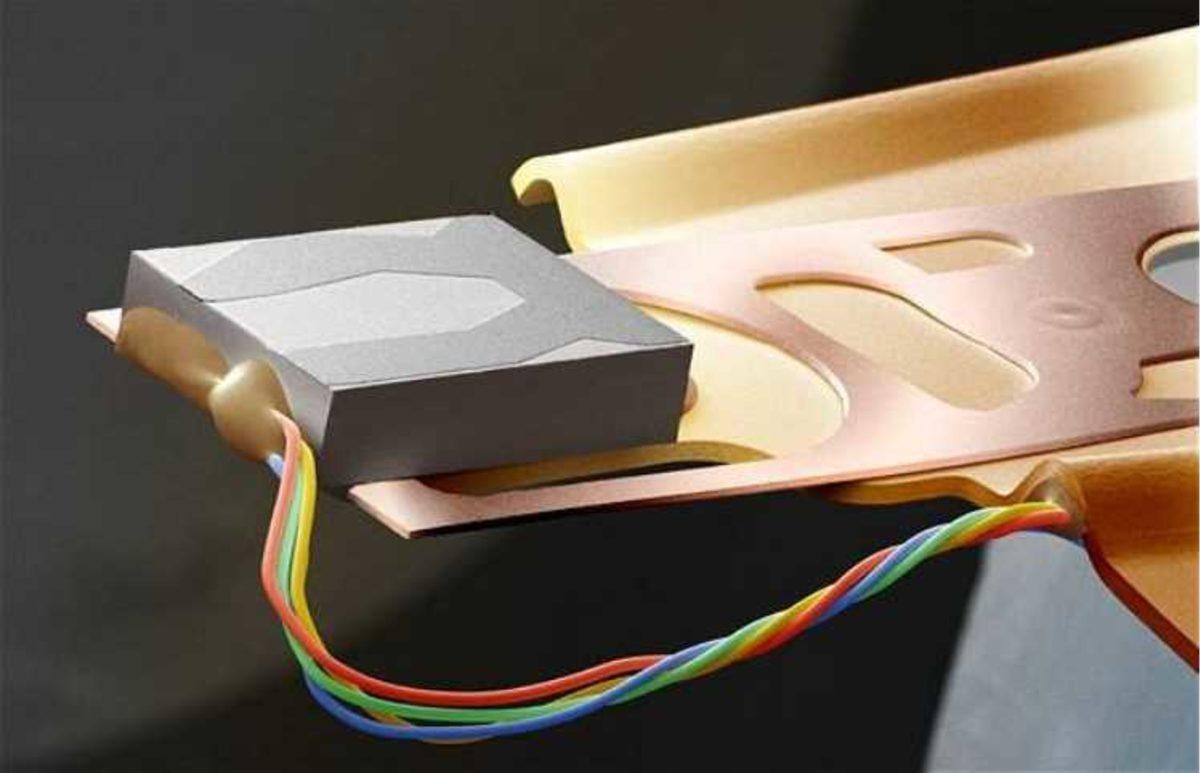 Elektron Mikroskobu ile Çekilmiş Birbirinden İlginç 27 Fotoğraf