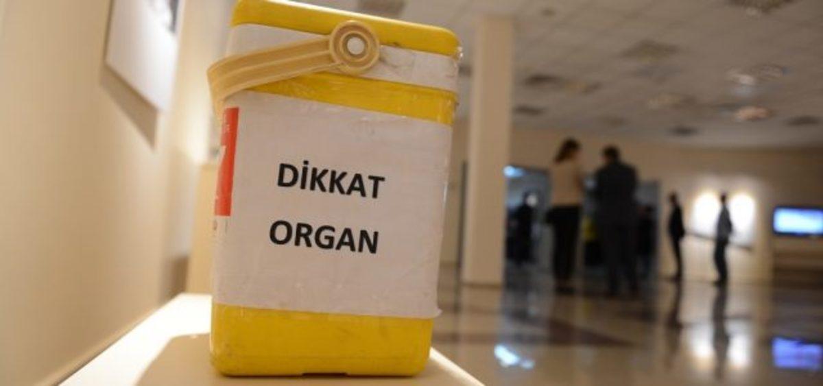 Bu Kez Şakası Yok: Türkiye’de Satılık Böbrek İlanı Artıyor